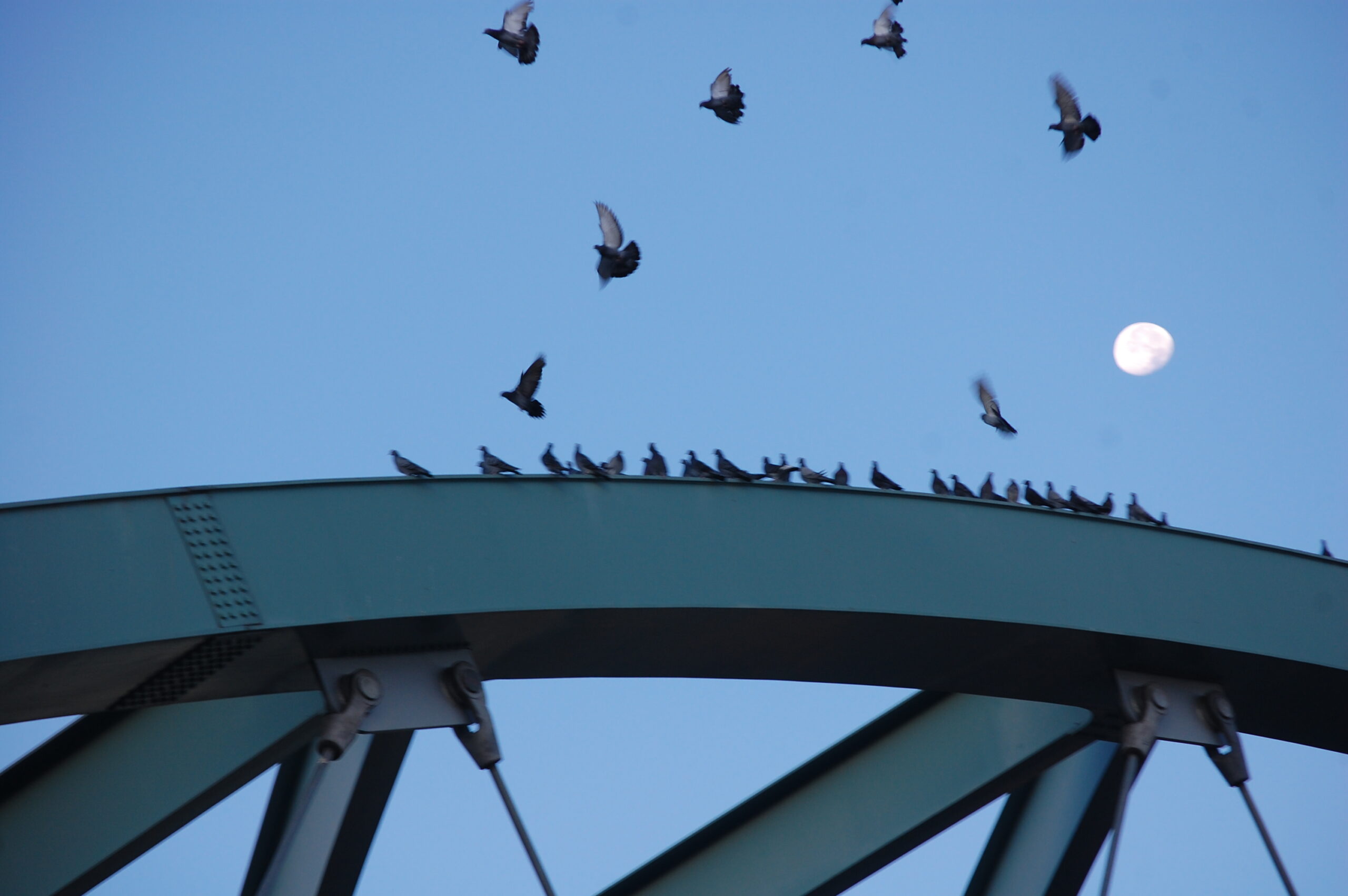 Light in the darkness: how to go through hell